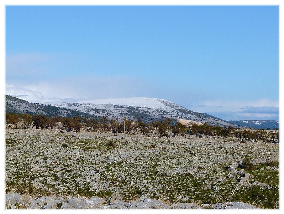 Gargano invernale